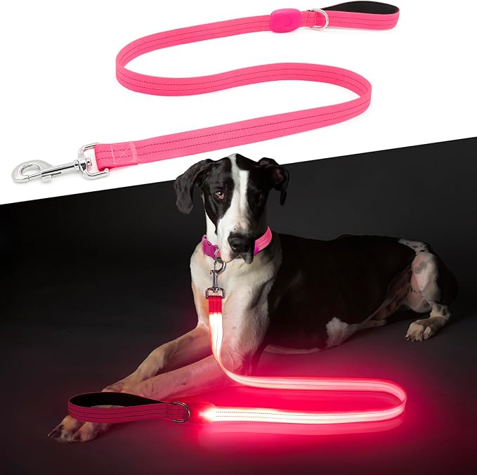 LED Dog Leash, Light Up Dog Leash 4 Ft USB Rechargeable Waterproof, Nylon Reflective Leashes with