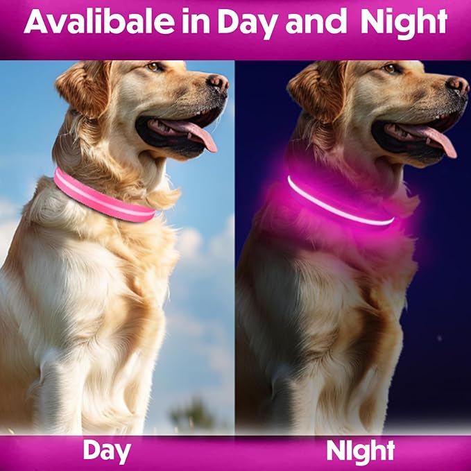 Light Up Dog Collar ??Reflective, Adjustable & Rechargeable Electronic Glow Pet Collars ??Bright