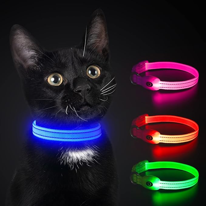 YFbrite LED Dog Collar XS, Lightweight Cat Collar Light, Comfortable Light Up Puppy Collars, USB