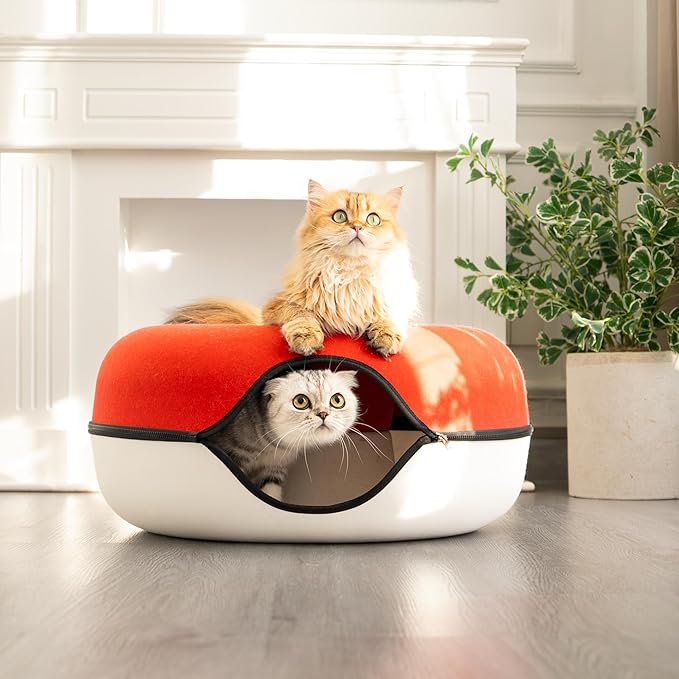 Cattasaurus Peekaboo Cat Cave, Extra Spacious for Multiple & Large Cats 12+ lbs, Scratch Detachable