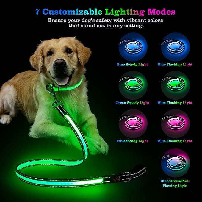 4 Ft LED Dog Leash, Light Up & Lighted Dog Leash, 7 Lighting Modes, Glow in The Dark, Reflective