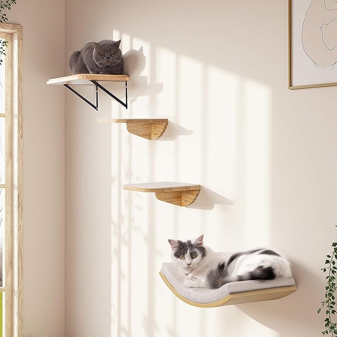 Cat Wall Shelf & Window Perch Combo, Wood Cats Wall Furniture with Soft Foam Curved Bed and