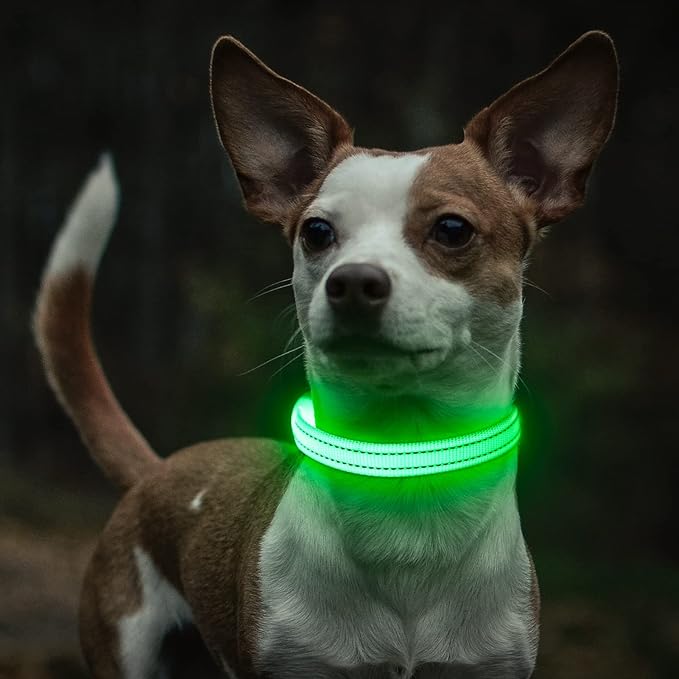 Light Up Dog Collar for Small Dogs - Rechargeable Puppy Collars Glow in The Dark LED Dog Collar