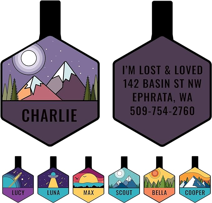 GoTags Silent Dog Tag, Personalized Engraved Hexagon Silicone Dog and Cat Name Pet ID Tags