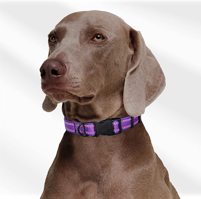 Mile High Life Reflective Dog Collar, Basic Dog Collars Adjustable Quick Release, Soft Nylon Pet