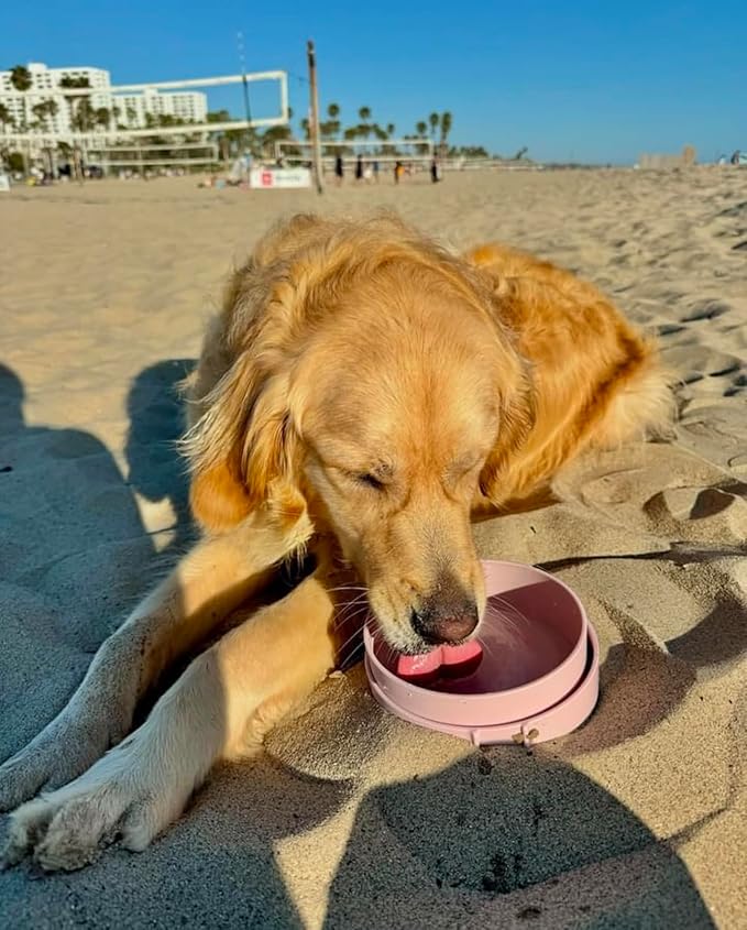 Barkin??Trails Travel Dog Bowls, Portable Outdoor Water, BPA-Free Water Bowl Set, Food Grade
