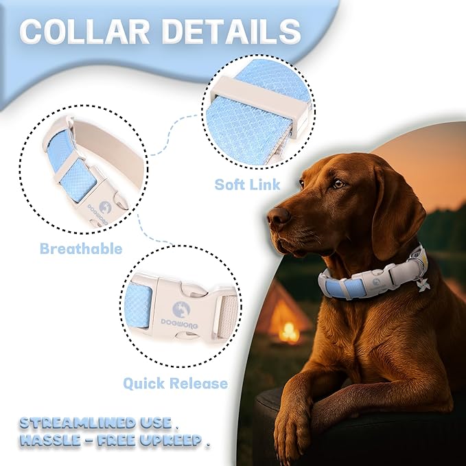DOGWONG LED Dog Collar - Heavy Duty Light up Collars - Rechargeable Waterproof - Lighted Dog Collar