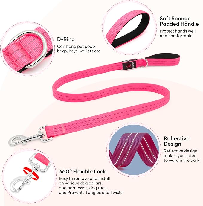 LED Dog Leash, 4 Ft Light Up, USB Rechargeable, Waterproof, Nylon Reflective with Padded Handle