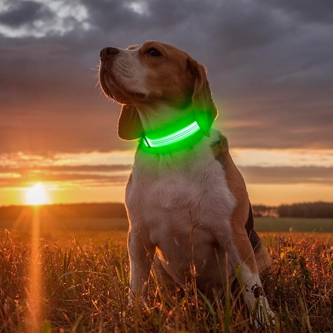 Illumifun Light Up Dog Collar, USB Rechargeable LED Dog Collar, Reflective Flash Pet Lighted Collar