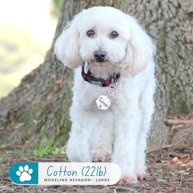 Ultra Joys Dog Tags Personalized for Pets - Hollow Paw Custom Pet ID Tag - Engraved Dog Tag for