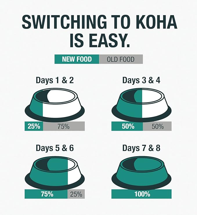 KOHA Minimal Ingredient Beef Stew for Dogs, High Protein Limited Ingredient Dog Food, 12.7oz Cans