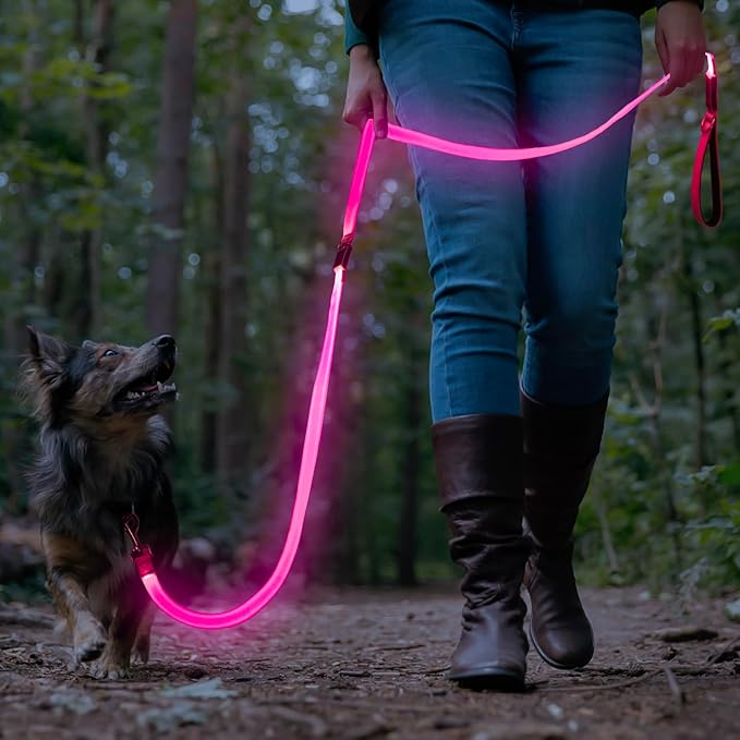 Colaseeme Light Up Dog Leash, LED Pet Leashes USB Rechargeable, Glow Safety Dogs Lights at Night