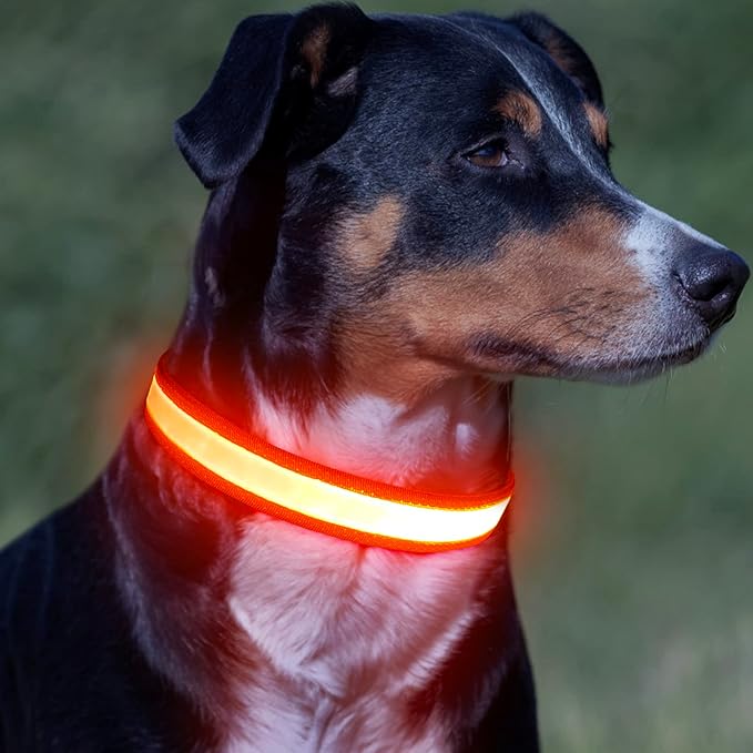 Vizpet LED Dog Collar, Light Up Dog Collar Adjustable USB Rechargeable Super Bright Safety Light