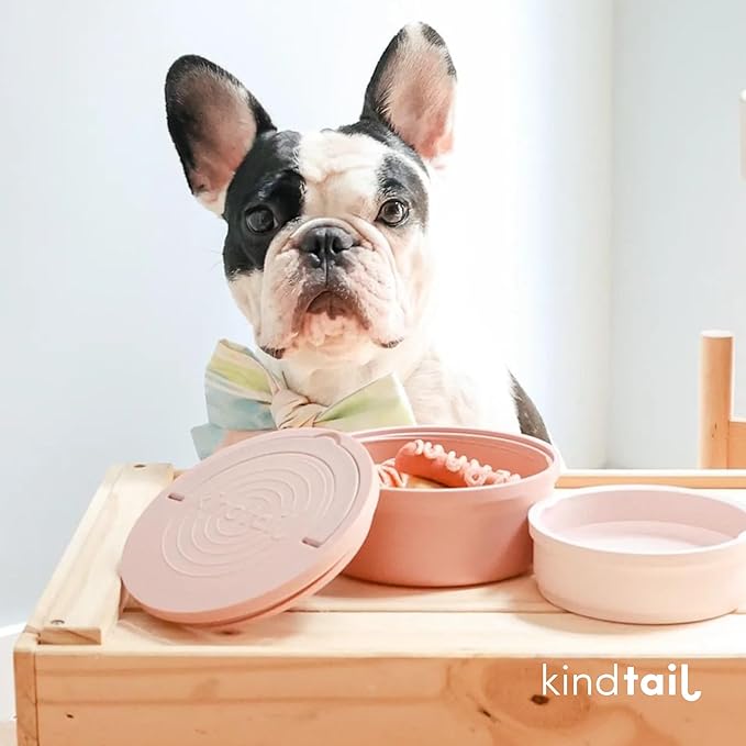 KindTail Dog Travel Bowls - Set of 2 Portable Pet Food & Water Dishes with Lid & Handle - Each