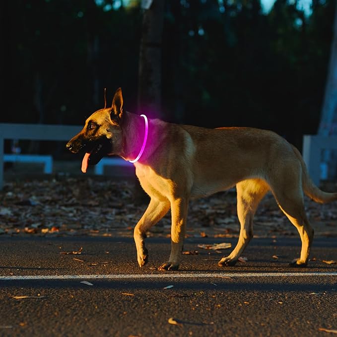 2 Packs Light Up Dog Collar, LED Dog Collar, USB Rechargeable Dog Lights for Night Walking