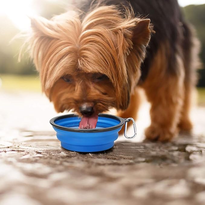 Kytely Large Collapsible Dog Bowls 2 Pack, 34oz Foldable Dog Travel Bowl, Portable Pet Water Food