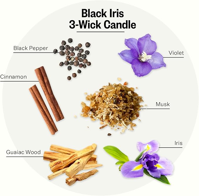 Apotheke 3-Wick Scented Candles for Home, Black Iris Oak - 26 oz Soy Wax Aromatherapy Jar Candle