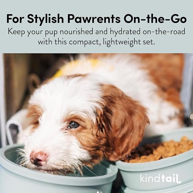 KindTail Dog Travel Bowls - Set of 2 Portable Pet Food & Water Dishes with Lid & Handle - Each