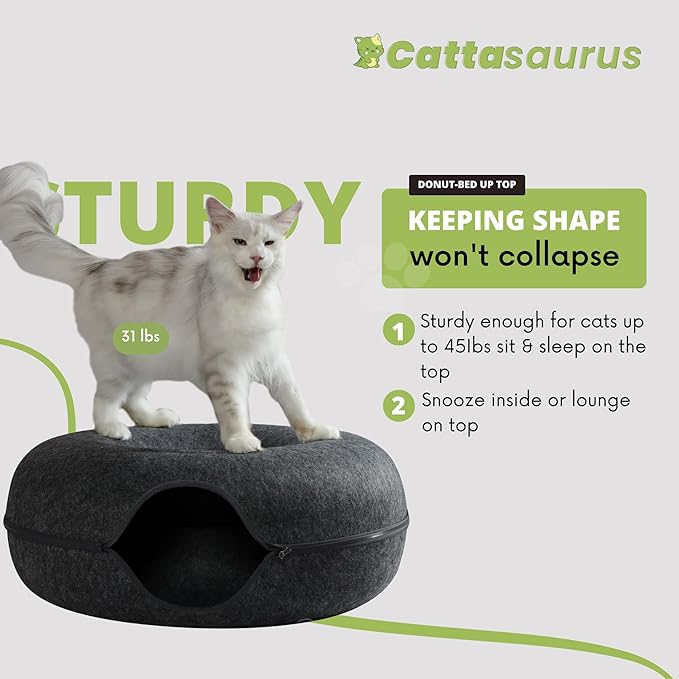 Cattasaurus Peekaboo Cat Cave, Extra Spacious for Multiple & Large Cats 12+ lbs, Scratch Detachable