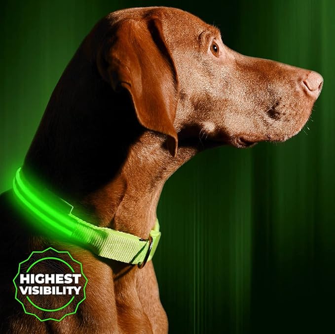 ILLUMISEEN LED Dog Collar USB Rechargeable - Bright & High Visibility Lighted Glow Collar for Pet