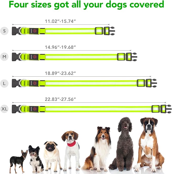 Vizpet LED Dog Collar, Light Up Dog Collar Adjustable USB Rechargeable Super Bright Safety Light