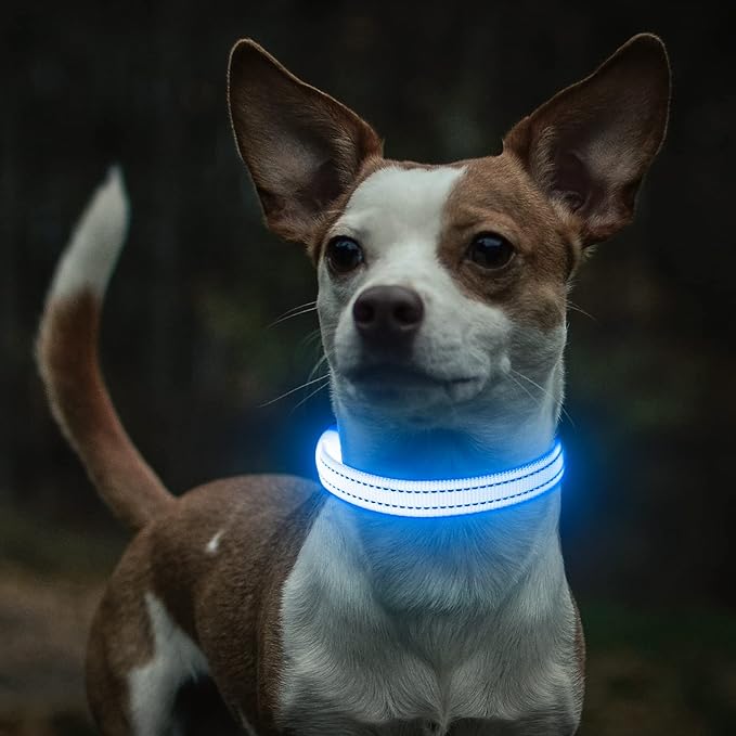 Light Up Dog Collar - Rechargeable Puppy Collar Glow in The Dark LED Dog Collar Lights for Small