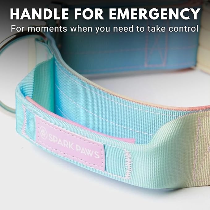 Spark Paws Tactical Dog Collar with Handle - Premium Quality Collar, Robust and Durable Design for