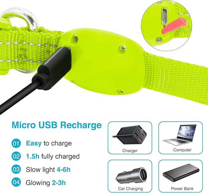 LED Dog Collar - Light Up, Adjustable, Rechargeable, Waterproof, Glow in Dark for Small Pets (S