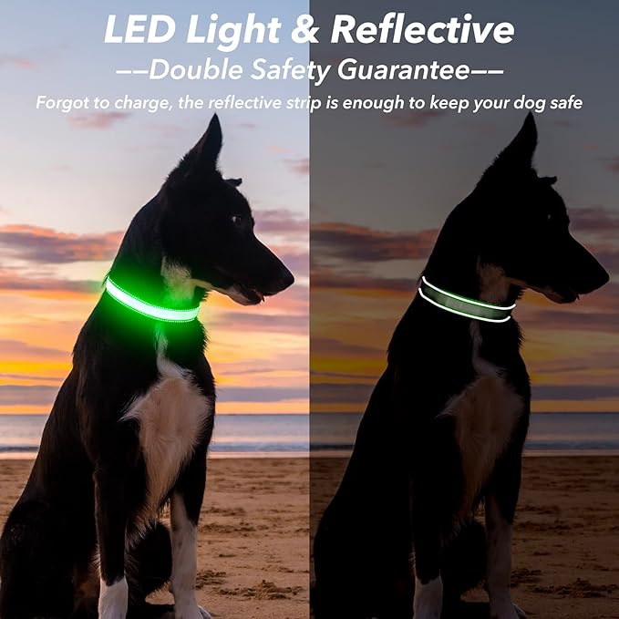 Visinite Light Up Dog Collar, Reflective LED Dog Collar, Adjustable Lighted Dog Collars