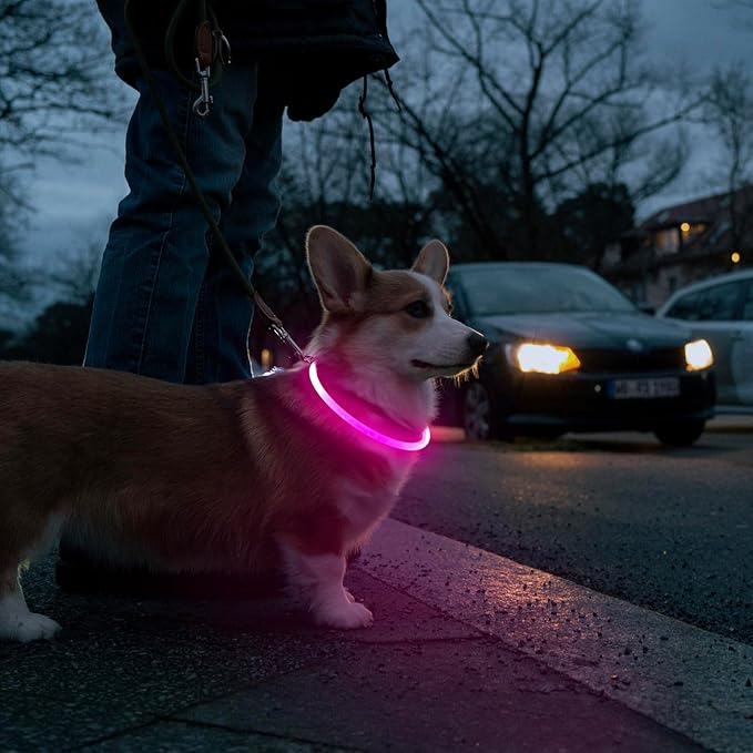 HIGO LED Dog Collar, USB Rechargeable Light Up Dog Collars Glow in The Dark, Waterproof LED Dog