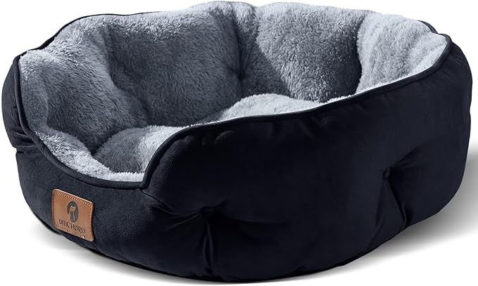 Asvin Medium Dog Bed for Medium Dogs, Large Cat Beds for Indoor Cats, Pet Bed for Puppy and Kitty