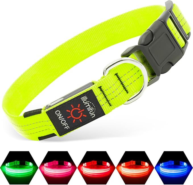 Illumifun Light Up Dog Collar, USB Rechargeable LED Dog Collar, Reflective Flash Pet Lighted Collar