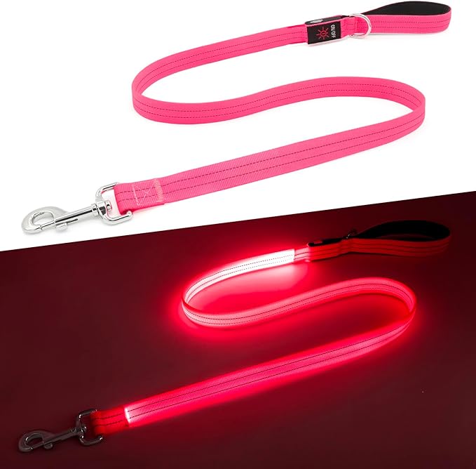 LED Dog Leash, 4 Ft Light Up, USB Rechargeable, Waterproof, Nylon Reflective with Padded Handle