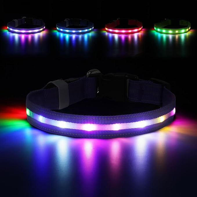 LED Dog Collar, Light Up Dog Collar, USB Rechargeable - Brightest Dog Lights for Night Walking, 6