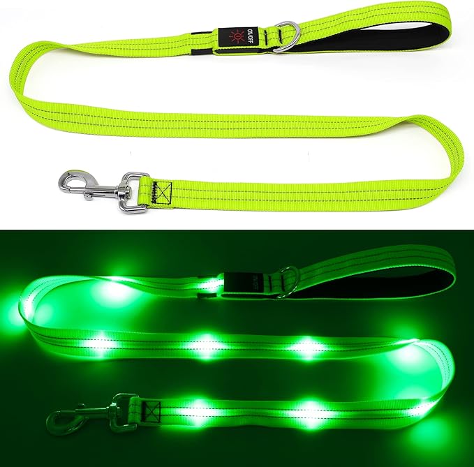 4 Ft LED Dog Leash, Rechargeable Light Up, Safety Glow in The Dark, Nylon Reflective with Padded