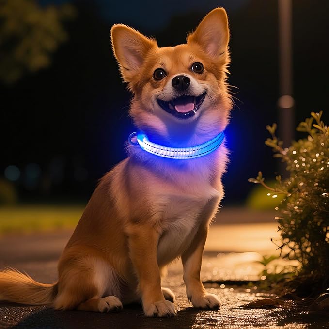 Light Up Dog Collar - Rechargeable Puppy Collar Glow in The Dark LED Dog Collar Lights for Small