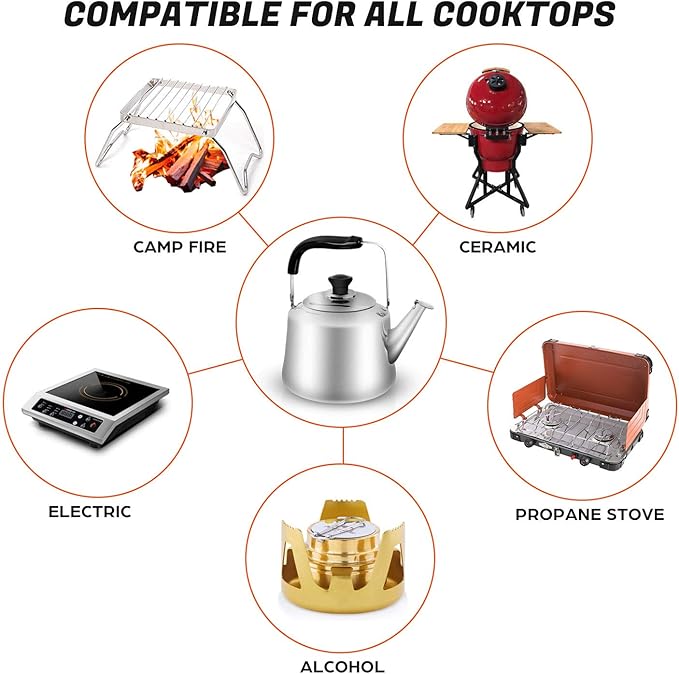 Odoland 4L Camping Kettle Set with 4 Cups, Durable Stainless Steel Camp Tea Coffee Water Pot with 4