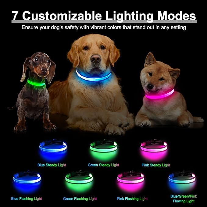 Light Up Dog Collar, Multicolor LED Dog Collar with 7 Modes, USB-C Rechargeable Reflective Glow