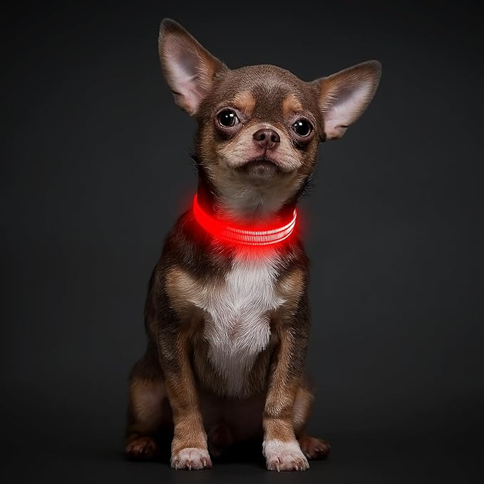 Illumifun Light Up Collar for Small Dogs, USB Rechargeable LED Dog Collar Glow in The Dark