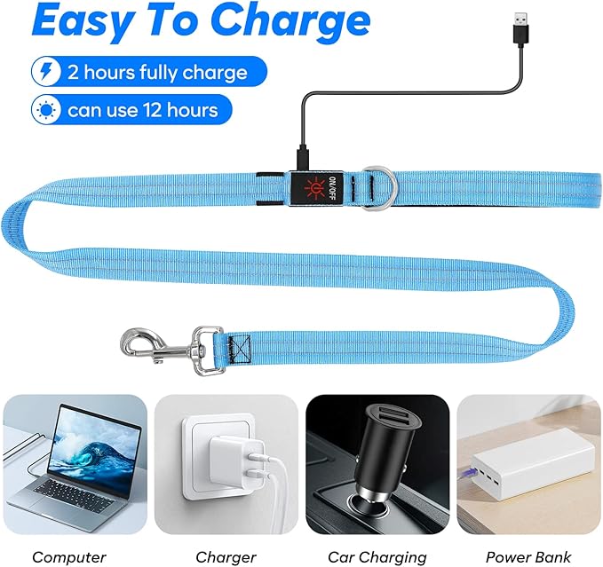 4 Ft LED Dog Leash, Rechargeable Light Up, Waterproof, Glow In The Dark, Nylon Reflective With