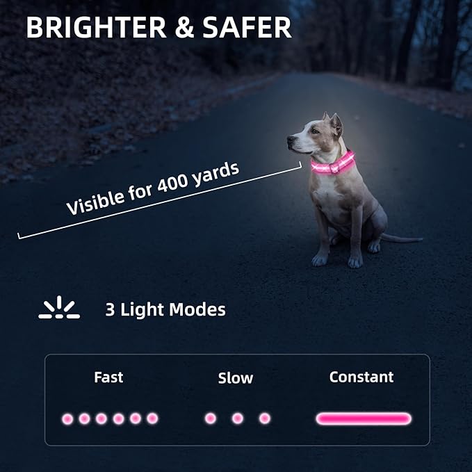 Super Bright LED Dog Collar - Fully Waterproof & Adjustable Glow Collar - USB-C Rechargeable for