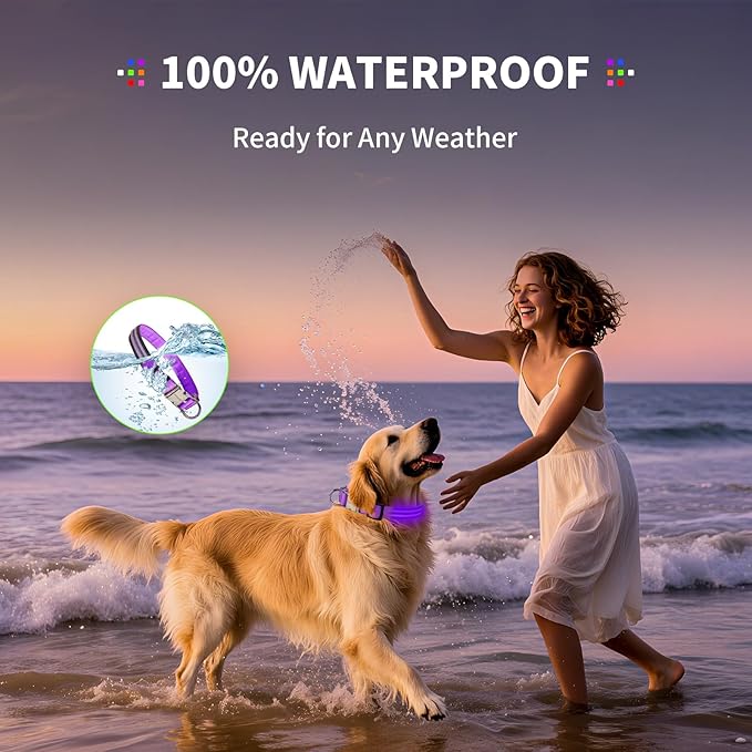 LED Dog Collar with Metal Buckle - USB Rechargeable Glow Collar for Dogs, Waterproof Light Up Dog