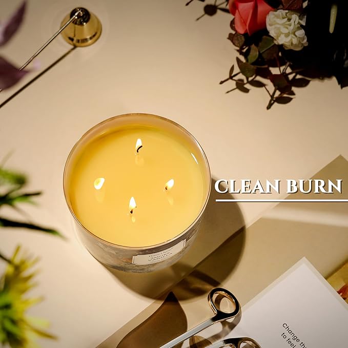 HomeLights Large jar Candle | 4-Wick Long-Lasting Scented Candles, 18oz Natural Soy Wax Candle for