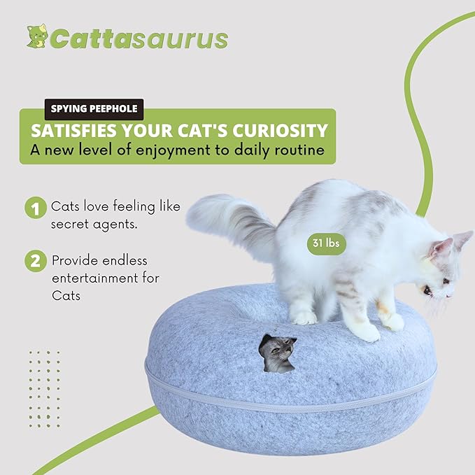 Cattasaurus Peekaboo Cat Cave, Extra Spacious for Multiple & Large Cats 12+ lbs, Scratch Detachable