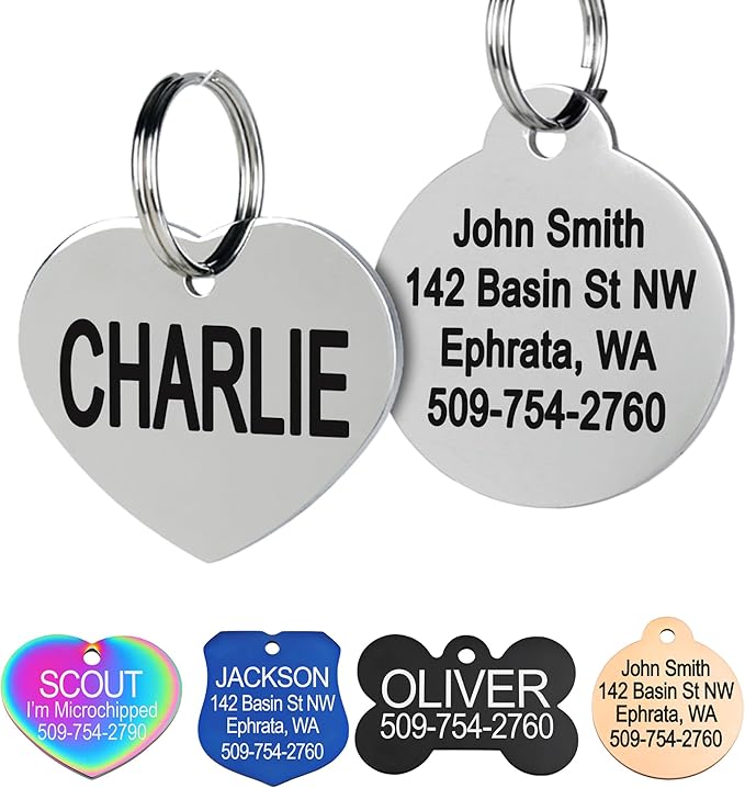 GoTags Stainless Steel Pet ID Tags, Personalized Dog Tags and Cat Tags, up to 8 Lines of Custom