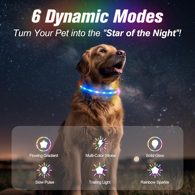 LED Dog Collar, Light Up Dog Collar, USB Rechargeable - Brightest Dog Lights for Night Walking, 6