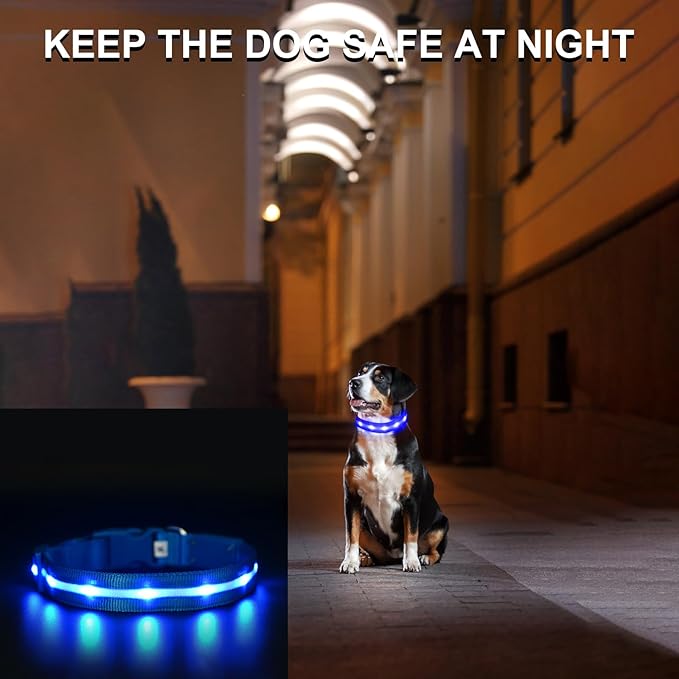 CHUKCHI LED Dog Collar Rechargeable,Waterproof Flashing Collar,Light Up Glow Collar, Adjustable