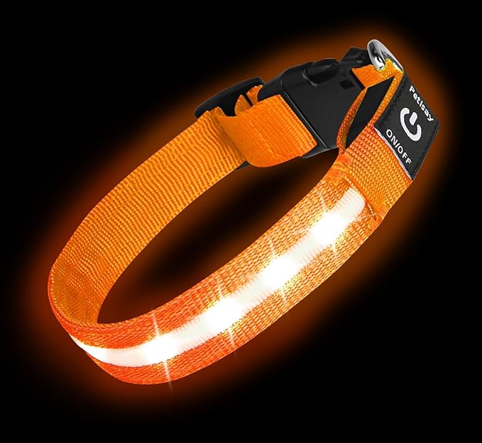 Super Bright LED Dog Collar - Fully Waterproof & Adjustable Glow Collar - USB-C Rechargeable for