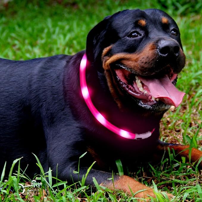 LED Dog Collar,USB Rechargeable Glowing Dog Collars, Light Up Collar Improved Pet Safety