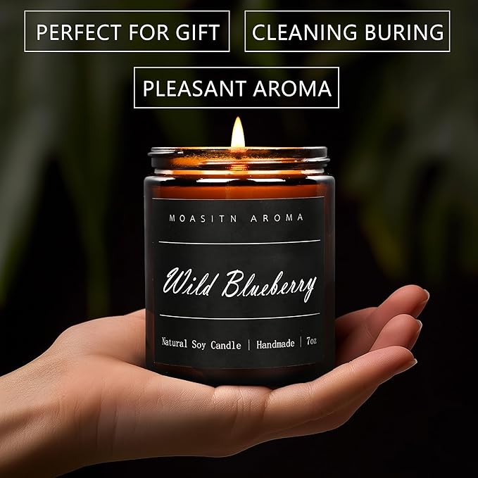 MOASITN Blueberry Highly Scented Candles for Home| Natural Soy Aromatherapy Candle| Handmade Long